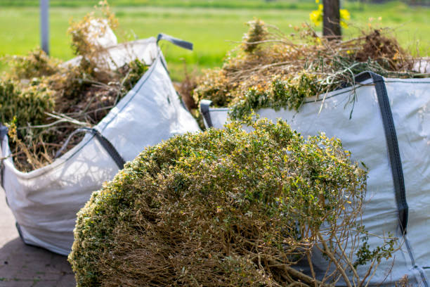 Best Residential Junk Removal  in New Franklin, MO